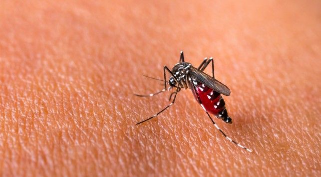 Dinkes Sumut Fokuskan Penanganan Wabah Malaria dan DBD di Nias Selatan