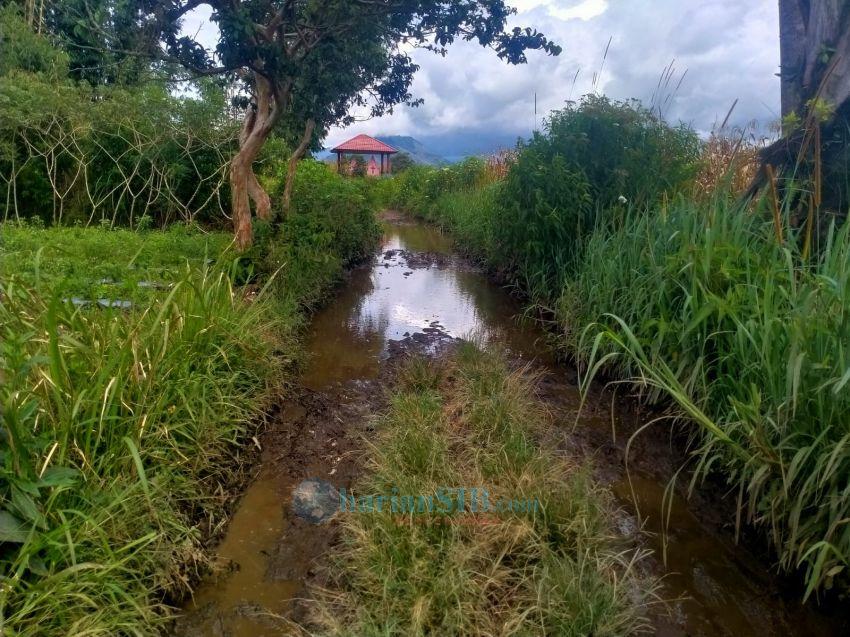 Jalan Pertanian Juma Kobun di Huta Situri-turi Simalungun Butuh Perbaikan
