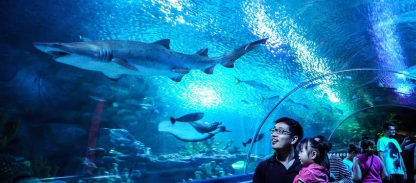 Menjelajahi Aquaria KLCC Kuala Lumpur: Atraksi, Tiket Masuk, dan Lokasi