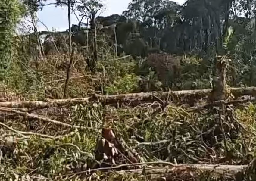 KTHW Desa Parbuluan 1 Minta KPH 15 Kabanjahe Tegas dan Laporkan Pembalakan Hutan Lindung