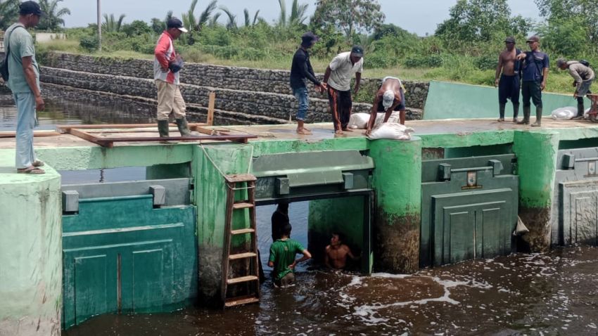 Warga Desa Pematang Kuala Bergotong Royong Perbaiki Pintu Air Bendungan yang Jebol