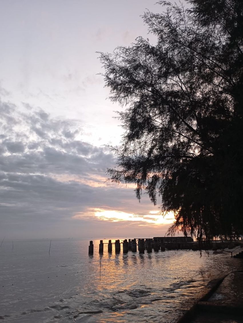 Pesona Pantai Woong Rame Sergai: Nikmati Keindahan Sambil Menyaksikan Kapal Lalu Lalang