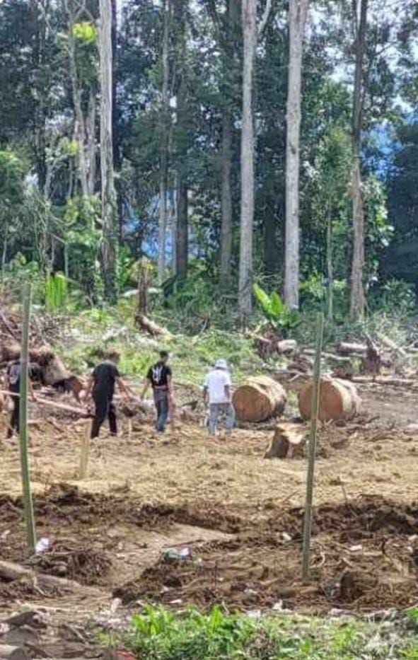 Penyelidikan Penerbitan SK BHM Kawasan Hutan Arboretum Merek Masih Mengambang