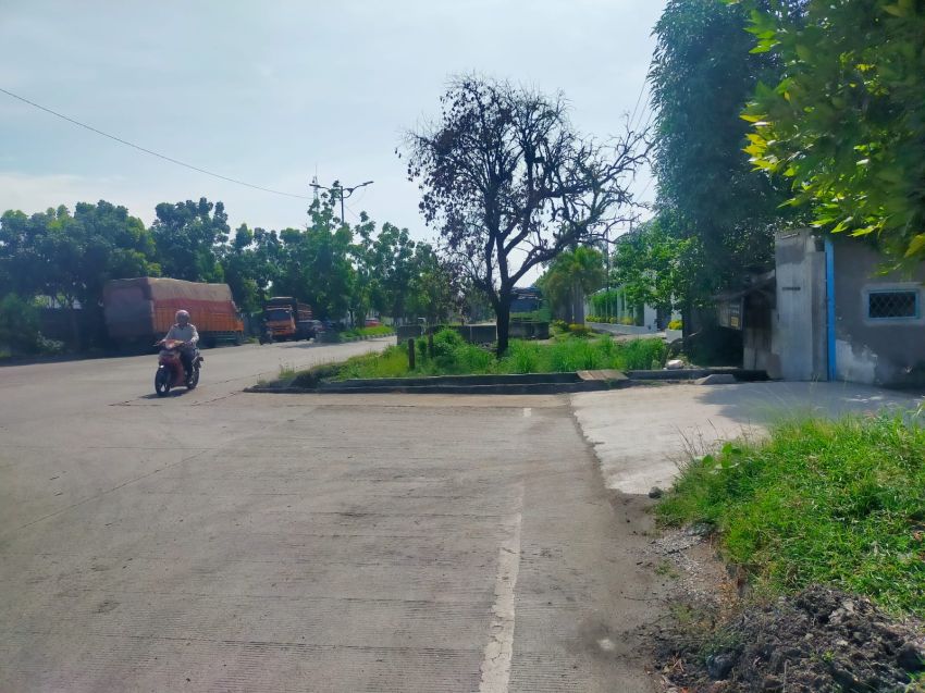 Halaman Rumah Warga Menjorok ke Badan Jalan Cemara