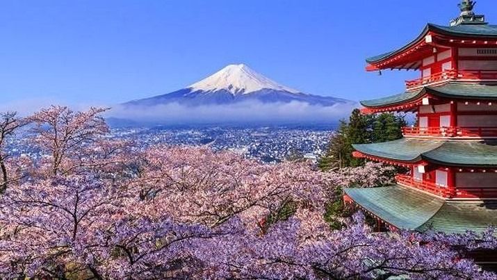Turis Indonesia Masih Mengidolakan Tokyo Sebagai Destinasi Favorit di Jepang
