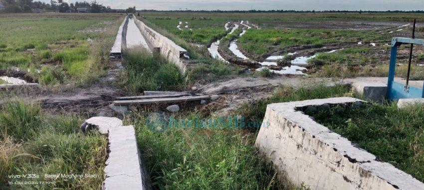 Petani Keluhkan Jembatan Gorong-gorong Jalan Usaha Tani Rusak