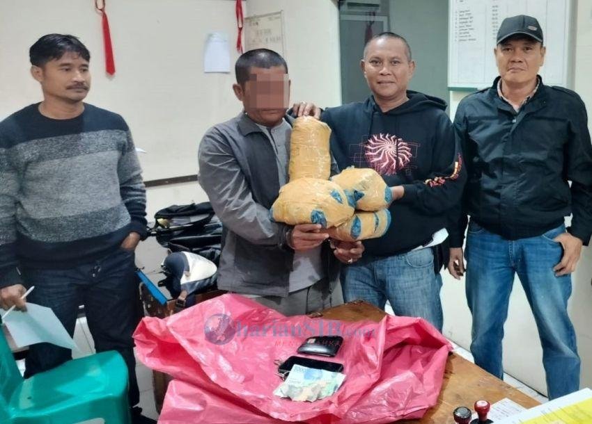 Tersangka Kurir Ganja Ditangkap Polsek Batunadua