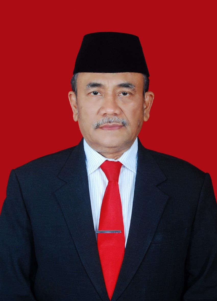 Godfried Lubis: Usut Robohnya Jembatan Taman Cadika