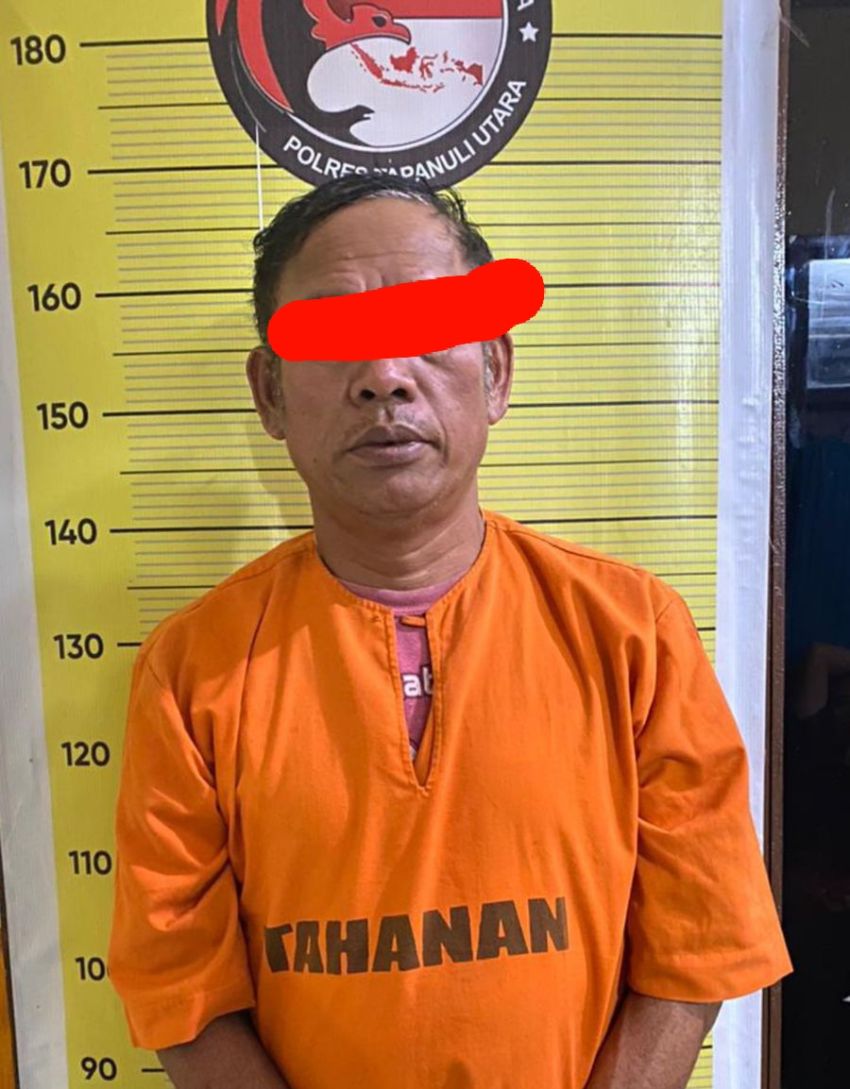 Tim Opsnal Polres Taput Tangkap Seorang Pengedar Ganja dari Desa Sitabotabo Siborongborong