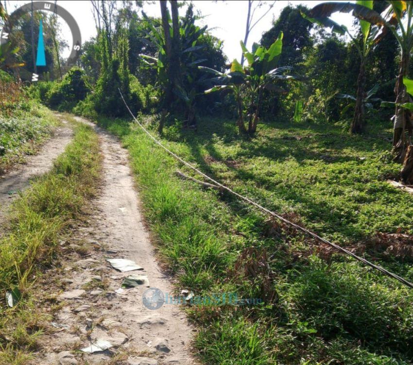 Kabel Listrik yang Kendor di Jalan Menuju SMP Negeri 3 Dolokpanribuan Tak Kunjung Dibenahi