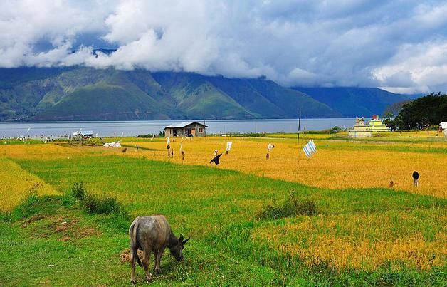 Setiap Tahun Terjadi Alih Fungsi Lahan di Sumut