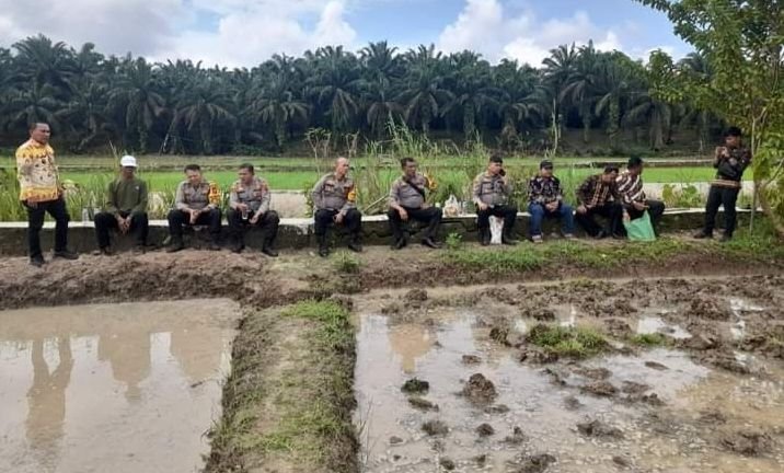 Polres Labuhanbatu Dukung Program Ketahanan Pangan, Kapolsek Kualuh Hulu Sambangi Lahan Pertanian di Gunungmelayu