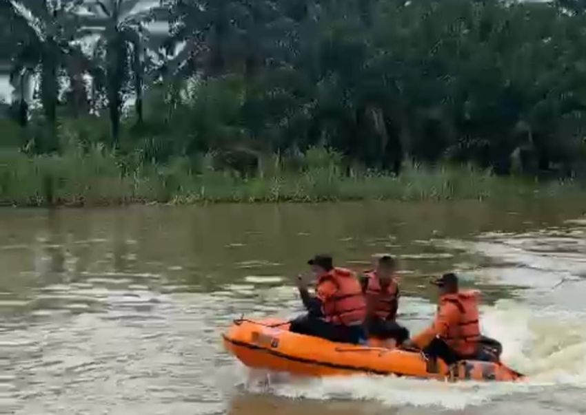 Dua Hari Dicari, Korban Diserang Buaya di Sungai Kualuh Labura Belum Ditemukan