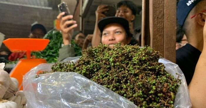 Harga Andaliman di Pasar-pasar Tradisional di Medan Melonjak Tajam Capai Rp500 Ribu/Kg