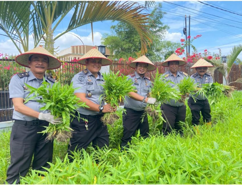 Lapas Kelas IIA Labuhan Ruku Panen Sayur Kangkung, Dukung Ketahanan Pangan