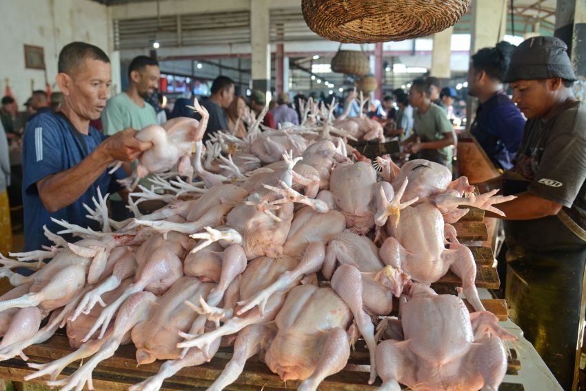 Harga Ayam, Ikan, dan Sayur Bayam di Medan Melonjak Jelang Akhir Tahun