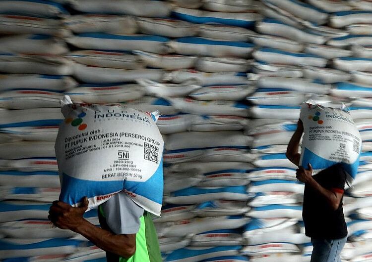 Penyaluran Pupuk Bersubsidi Urea di Sumut Capai 74%