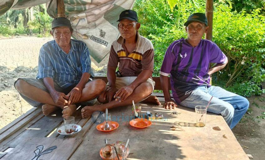 Petani Singkong Desa Cempedaklobang Keluhkan Harga Murah dan Mahalnya Pupuk