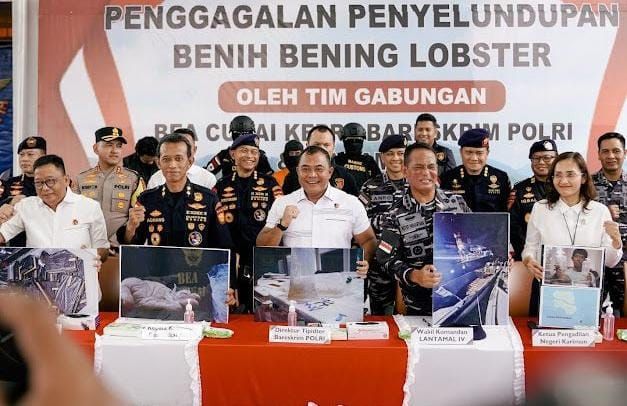Penyelundupan 151 Ribu Benih Lobster Senilai Rp 15 Miliar Berhasil Digagalkan