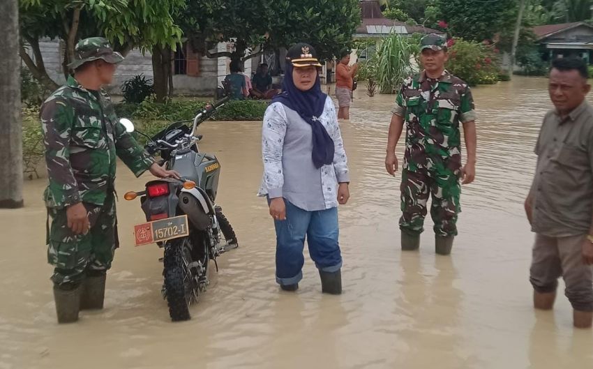 Camat Dolokmasihul dan Forkopimcam Pantau Banjir di Desa Bukitcermin Hilir