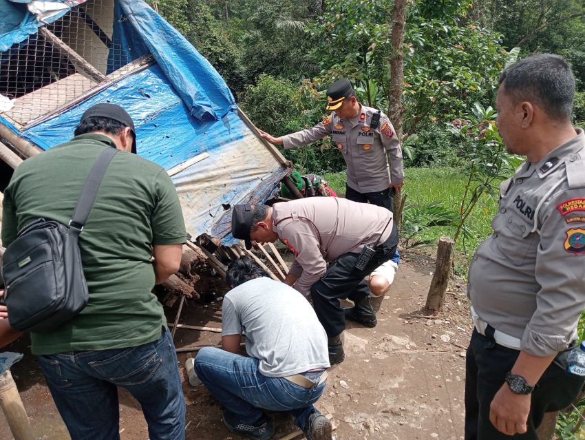 Aparat Gabungan Grebek Sarang Narkoba dan Bongkar Lapak di Sibolangit