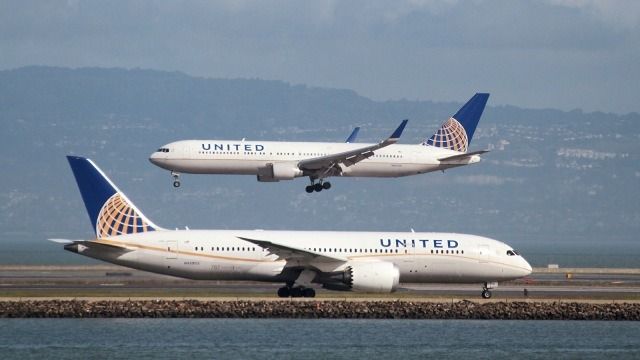 Tabrak Anjing Koyote, Pesawat United Airlines Terpaksa Putar Balik