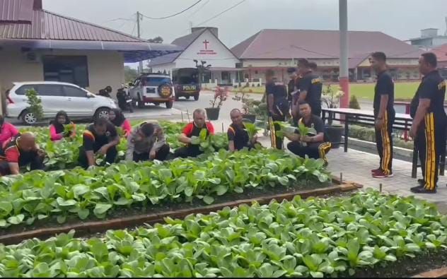 Dukung Ketahanan Pangan, Sat Brimob Polda Sumut Panen Raya dan Tabur Bibit Ikan