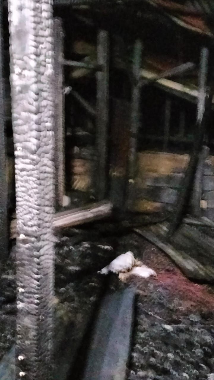 2 Unit Rumah Berlantai 2 di Tarutung Ludes Terbakar