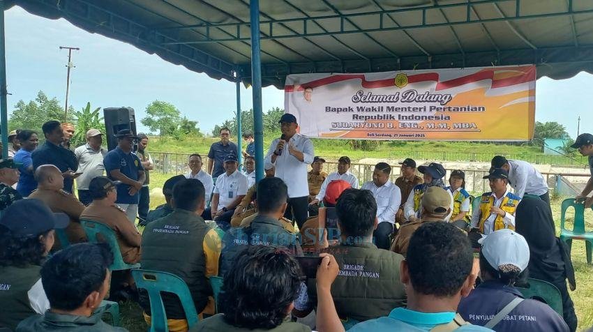 Wujudkan Swasembada Pangan, Wamentan Tinjau Bendungan Rusak di Deliserdang