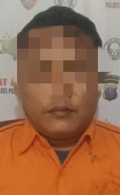 Cabuli Anak Dibawah Umur, Seorang Pria di Belawan Ditangkap Polisi