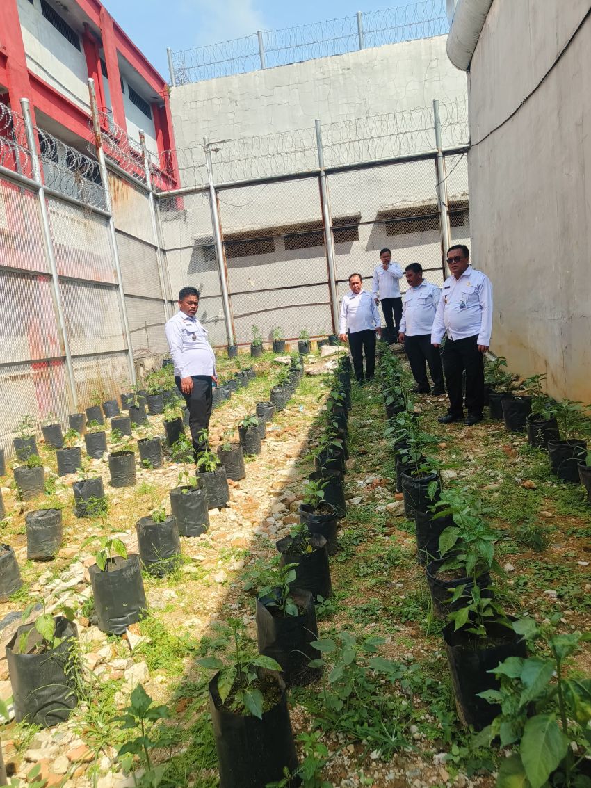 Lapas Pancurbatu Dukung Ketahanan Pangan dengan Budidaya Cabai dan Ikan Lele