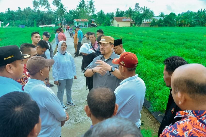 Bupati Batubara Ingin Petani Cabai Lubuk Cuik Jadi Orang Kaya Baru