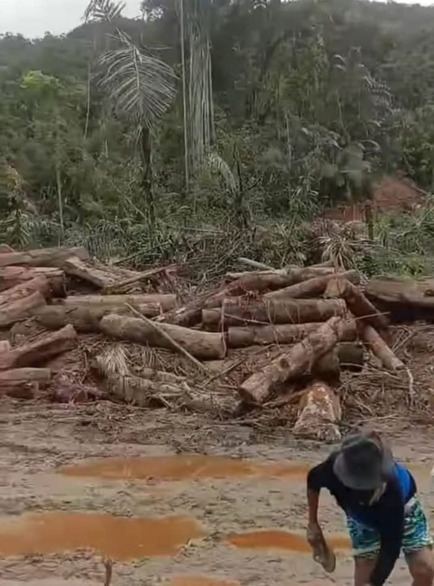 Ephorus HKBP Prihatin atas Pernyataan BPHL Penebangan Pohon di Humbahas Sah