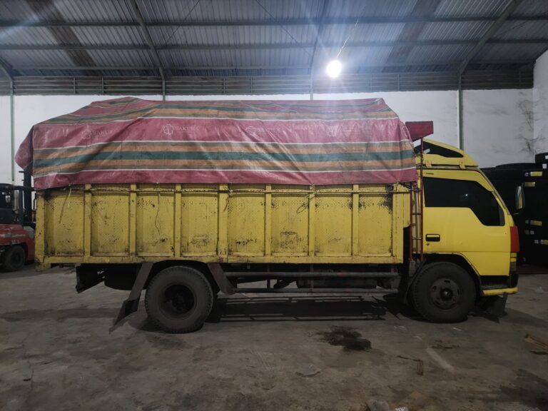 Polda Sumut Amankan Truk Bermuatan Mangga Asal Thailand