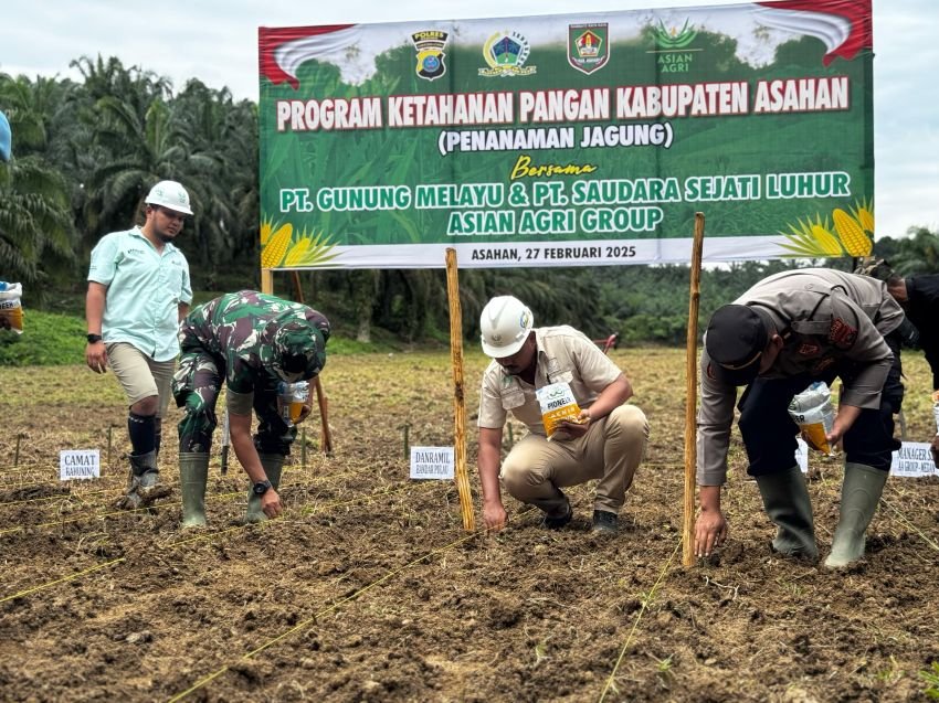 Asian Agri Dukung Program Ketahanan Pangan Melalui Penanaman Jagung di Asahan