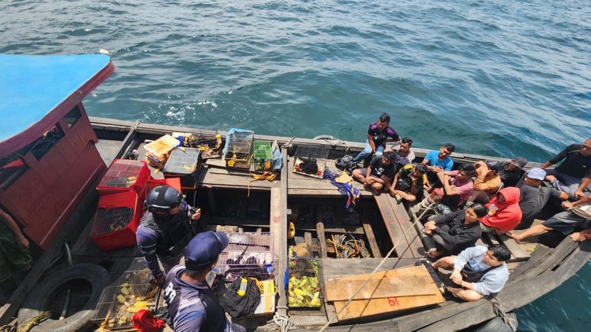 KRI Karontang 872 Gagalkan Penyeludupan 10 PMI, 2 WN Bangladesh dan 26 Satwa Langka