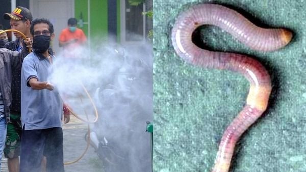 Mengerikan! Kota Ini Alami Krisis Air, Dipenuhi Cacing