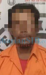 Cabuli Gadis Cilik, Seorang Pria di Medan Labuhan Ditangkap Polisi