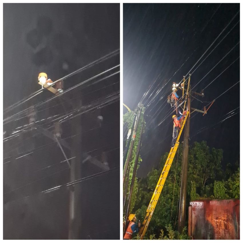 Hujan Deras, Pohon Tumbang Timpa Jaringan Kabel Listrik