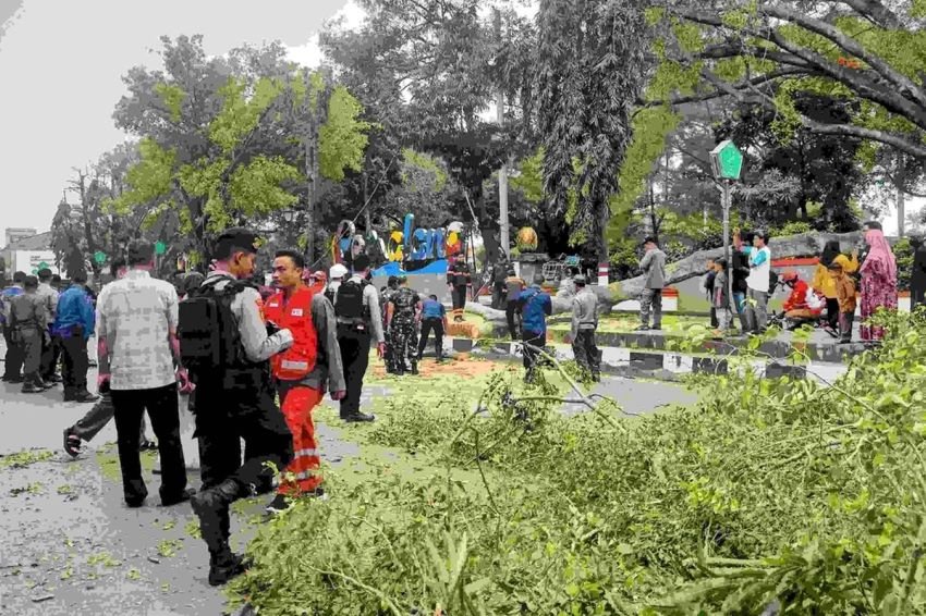 Tragedi di Pemalang, Pohon Tumbang Timpa Jemaah Salat Id, Dua Tewas