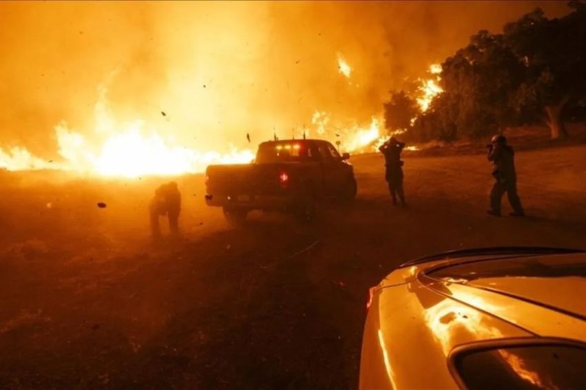 Gubernur South Carolina Umumkan Keadaan Darurat Akibat Kebakaran Hutan