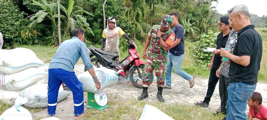 Kepala Desa Muara Pardede Apresiasi Bulog Borong Gabah Petani di Nagori Bah Sampuran