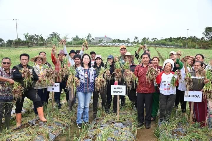 Wakil Bupati Humbahas Panen Bawang Merah dan Kunjungi UMKM di Onanganjang