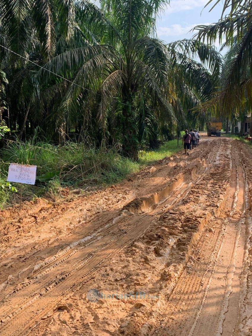 Hari Pertama Kerja, Bupati Labusel Tinjau Jalan Rusak Parah Menuju TPA di Torgamba