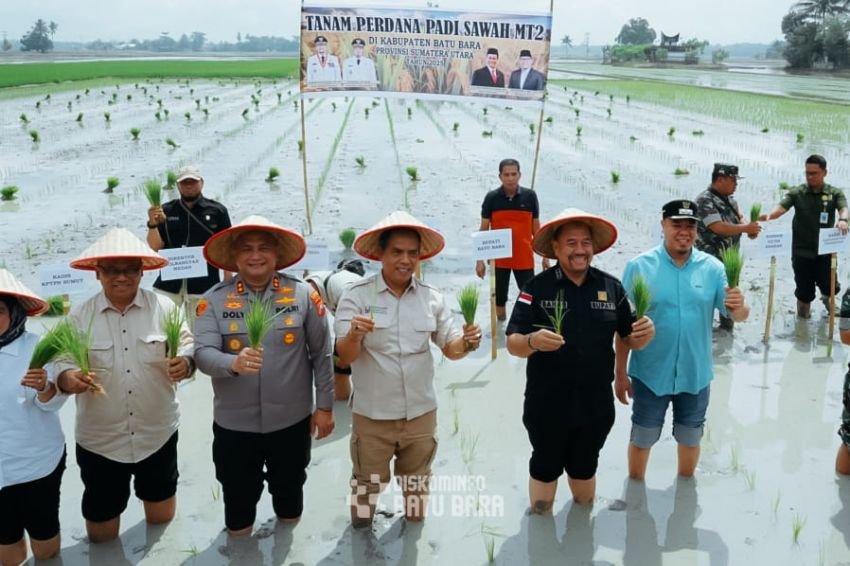 Petani Diminta Panen Padi Dihari ke 90, Bupati Batubara Koordinasi dengan Lembaga Terkait Perbaiki Irigasi