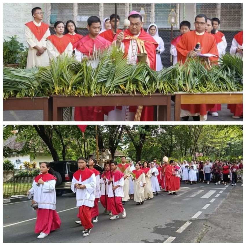 Umat Gereja Katolik Paroki Katedral Sibolga Ikuti Perarakan Minggu Palma