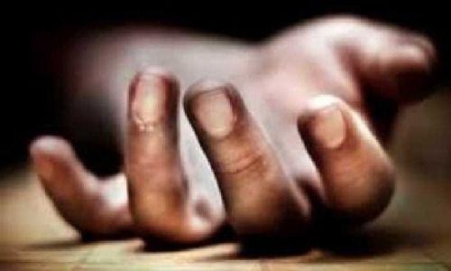 Warga Labusel Meninggal Kesetrum saat Panen Kelapa Sawit