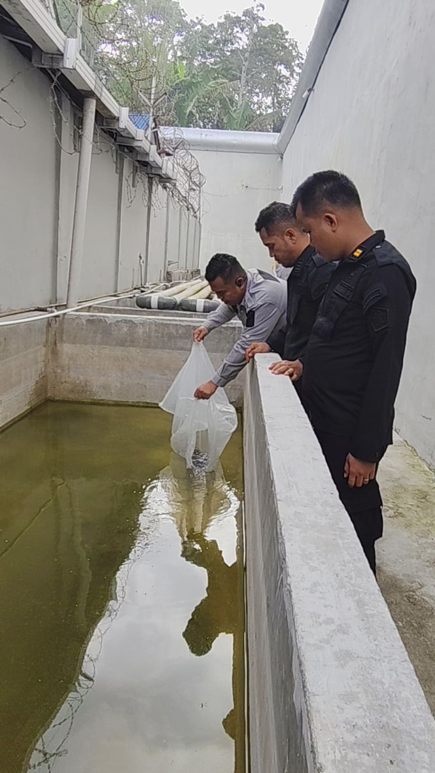 Dukung Program Ketahanan Pangan, Rutan Tarutung Tabur 2.000 Benih Ikan Nila