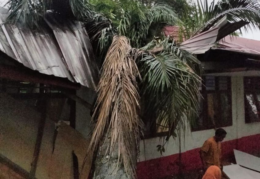 Angin Kencang di Kualuh Selatan, Pohon Sawit Timpa SD Negeri 117511 Karangsari