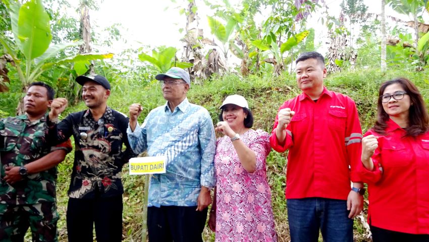 PT DPM dan Pemkab Dairi Tanam 10 ribu Pohon Kemiri di Kecamatan Silima Punggapungga
